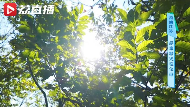 游遍江苏丨扬州仪征这处庄园能品尝秋天味道