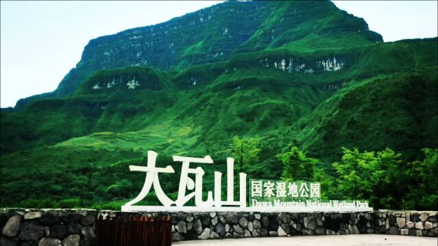 云上大瓦山,最美大峡谷——乐山市金口河区文旅形象宣传片