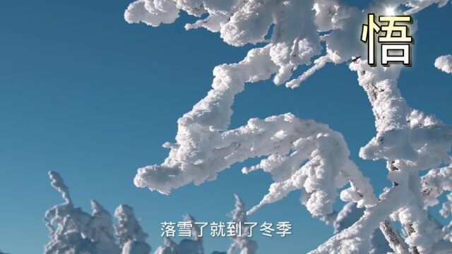 悟透人生无常