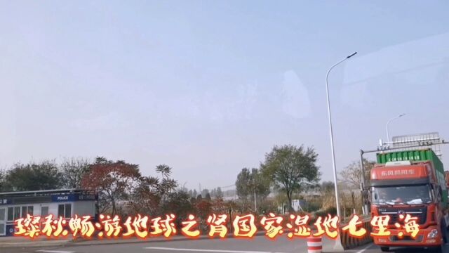 璨秋畅游地球之肾国家湿地七里海