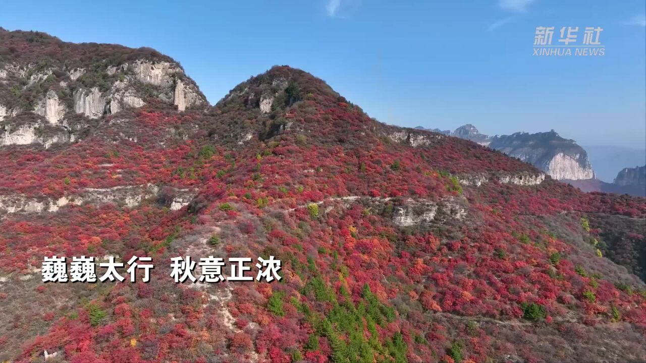 太行秋正浓 红叶漫山间