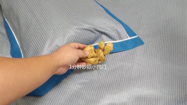 睡觉前,在枕头旁放一块生姜,作用太棒了,解决家里人的烦恼事