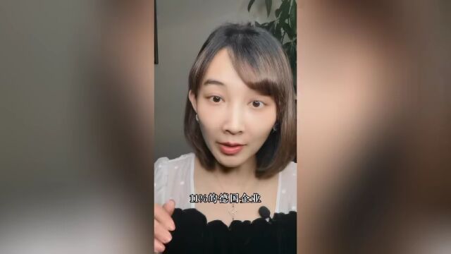 12家德企的中国之旅