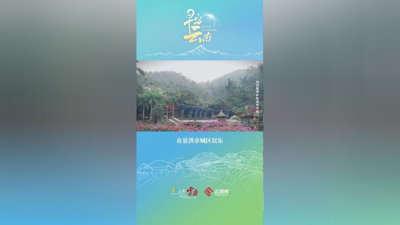 在西双版纳原始森林公园,找到回归大自然的初心