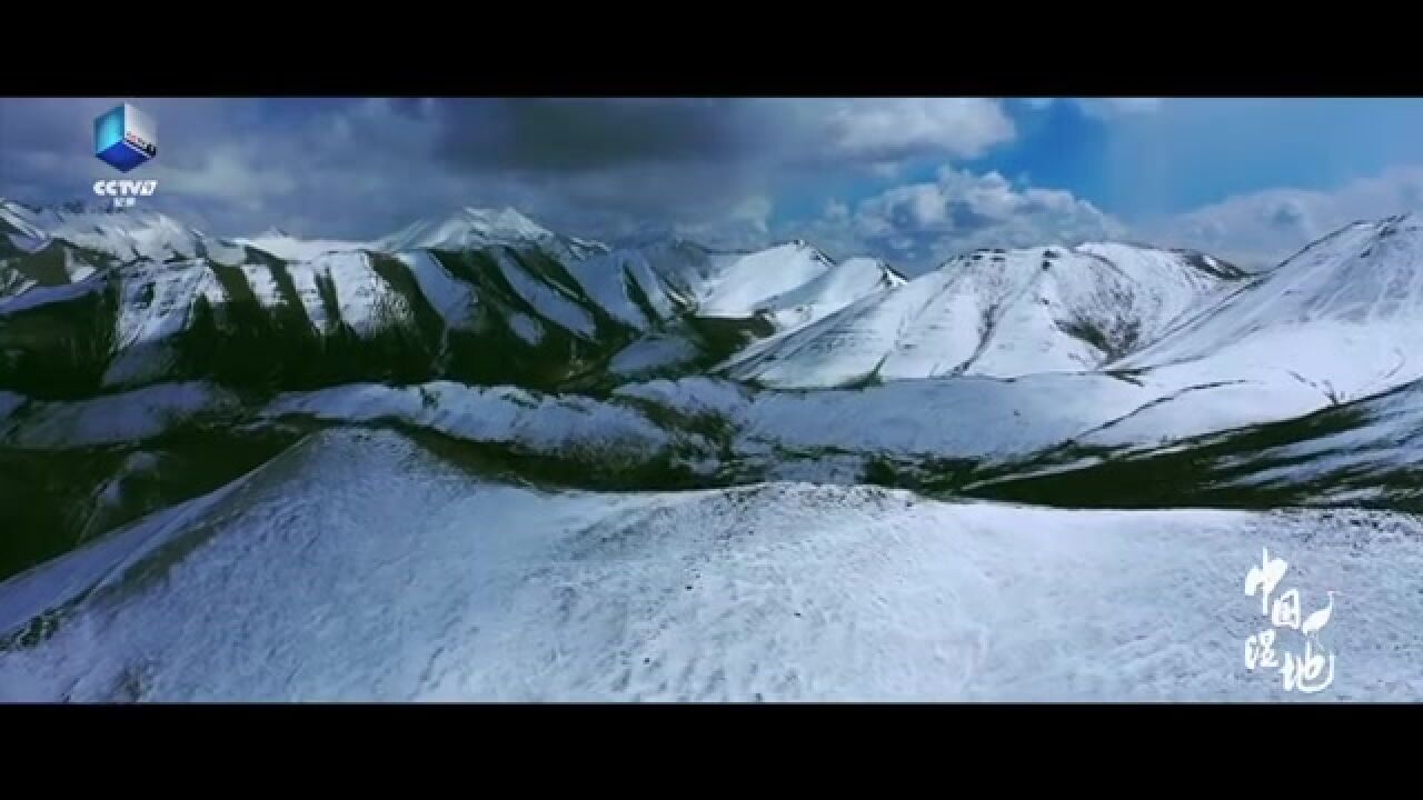 60秒看中国湿地的四季美景