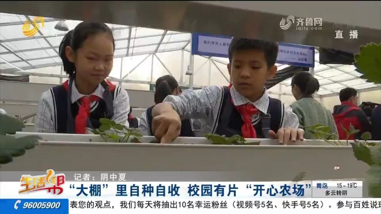 济南这所小学里有片“开心农场”,学生自种自收,体验劳动乐趣