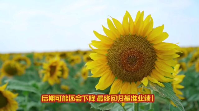 个人投资月报:第83期【含季度报告】