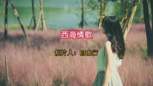 经典歌曲《西海情歌》