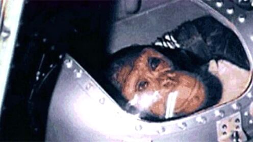 当年上过太空的那只黑猩猩，成为动物宇航员，如今过得怎么样了？