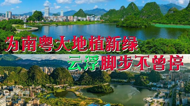 实施科学造林 构建健康森林生态 加快南粤森林建设 改善人居环境