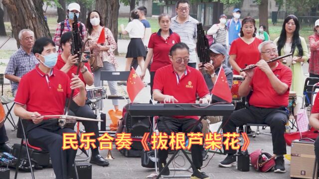 民乐合奏《拔根芦柴花》,北京天坛琴之声民乐队