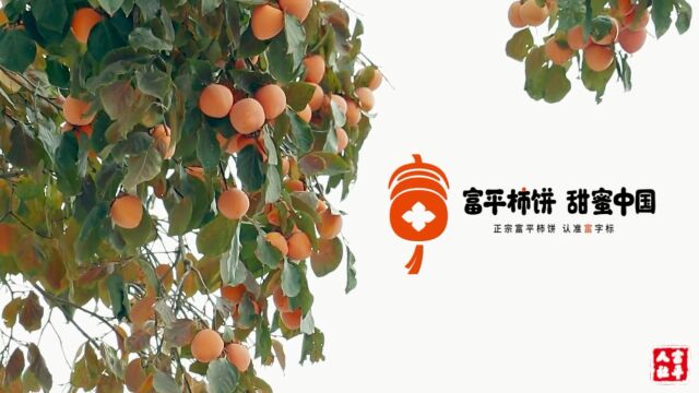 富平柿饼皇家贡品甜蜜中国