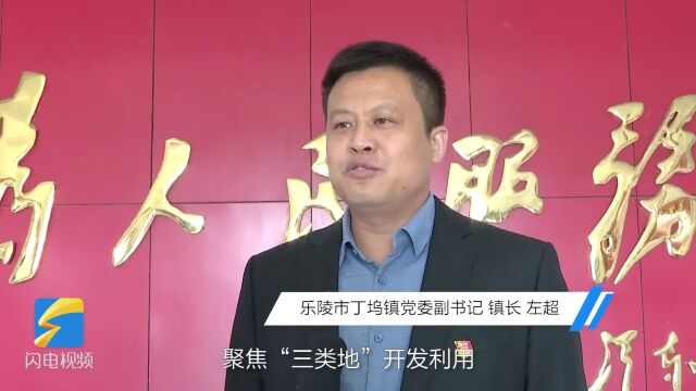 乐陵:分类施策用好“三类地” 赋能增势建强共同体