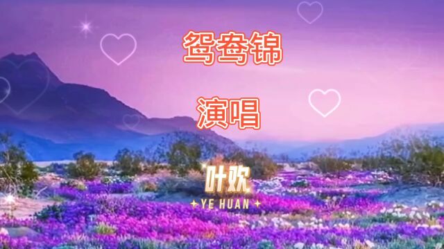 听精典歌曲