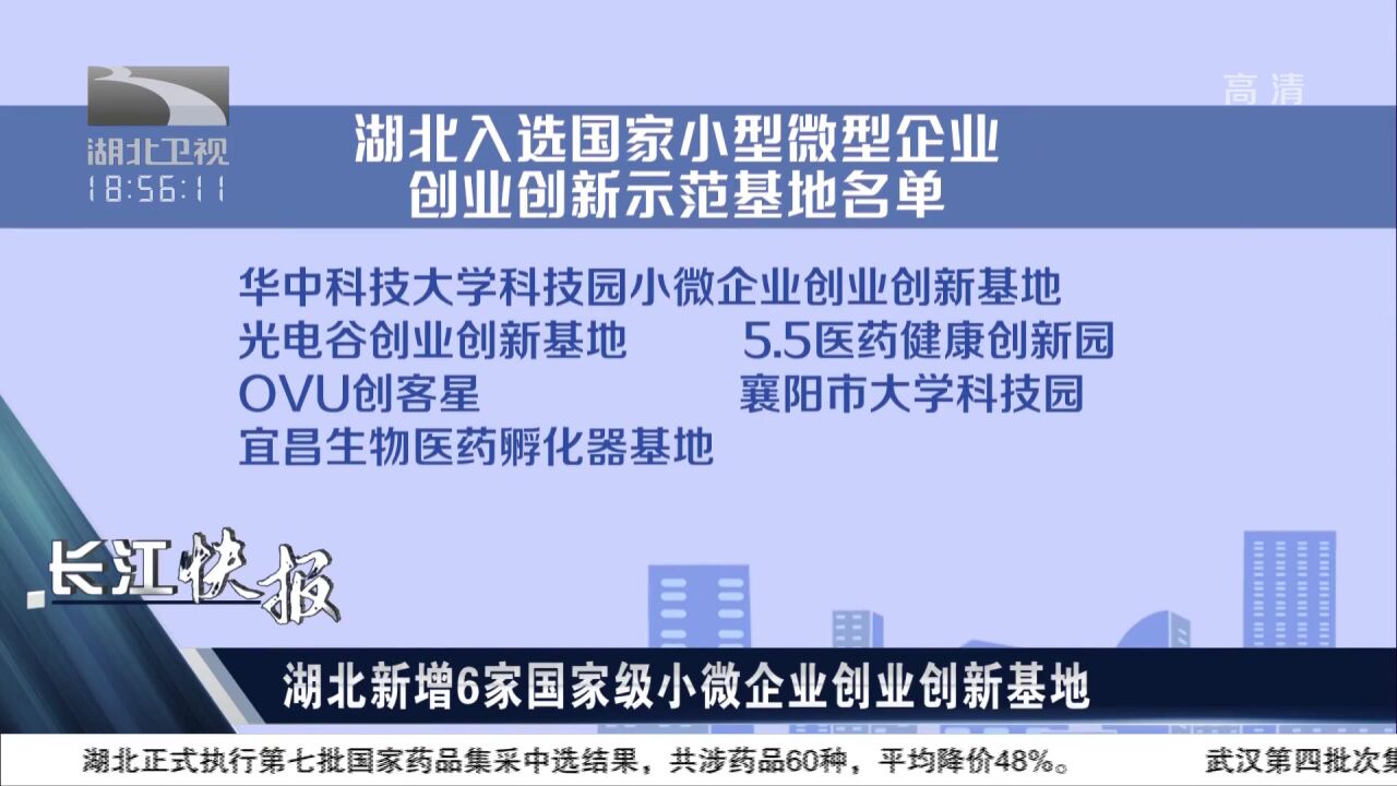 湖北新增6家国家级小微企业创业创新基地