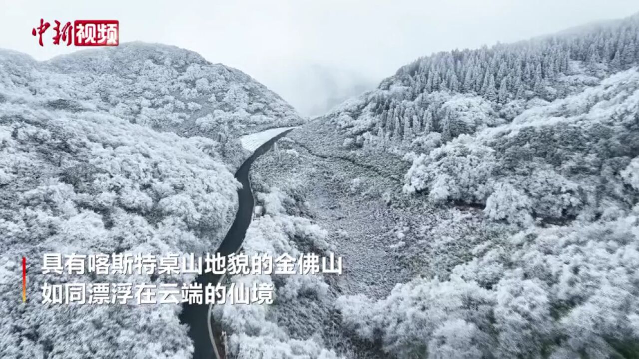 大雪遇到云海重庆金佛山如云端仙境