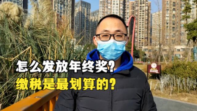 年终奖如何缴税?怎么发放年终奖,缴税是最划算的?