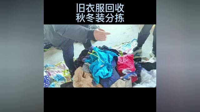 #旧衣服回收 #回收旧衣服#旧衣服学习分类 #旧衣服分类 #旧衣服分拣标准