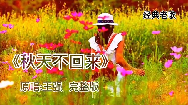 王强伤感歌曲《秋天不回来》MV,熟悉的旋律中,8090的青春回忆