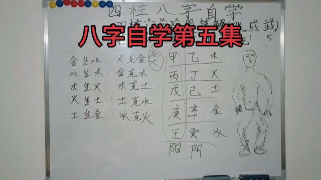 四柱八字自学第五集