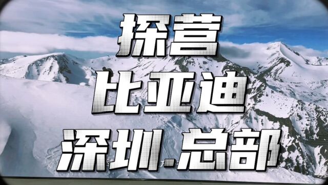 为创新技术而生 打卡探营比亚迪深圳总部