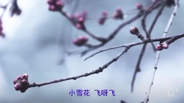 音乐活动:小雪花