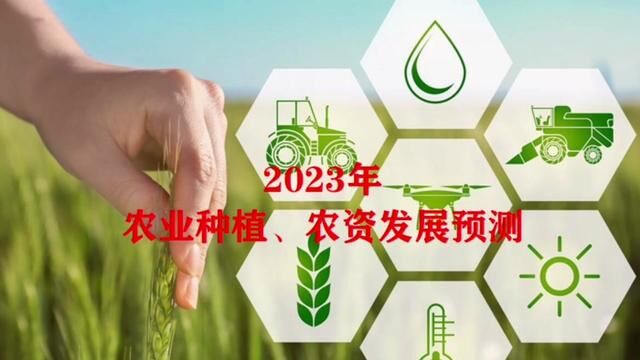 2023年农业种植和农资销售预测!欢迎讨论!#农业种植 #农资销售 #特肥#农田行者