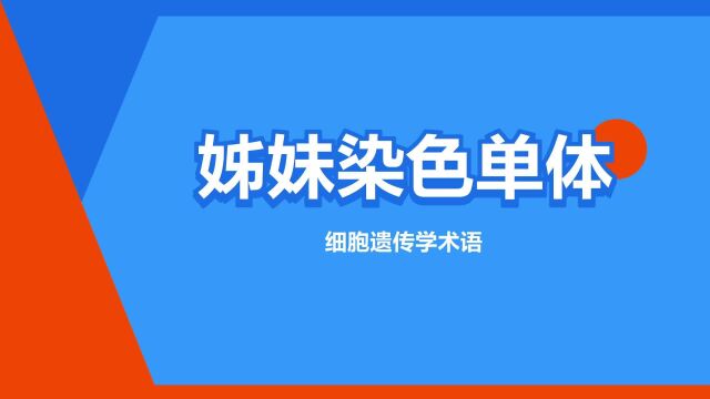 “姊妹染色单体”是什么意思?