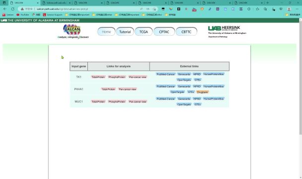 5分钟教你即使不会R语言,从TCGA数据库探索基因和蛋白表达