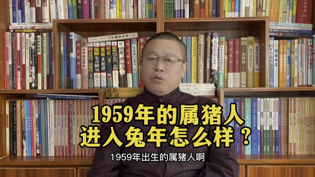 十二生肖兔年运势详解:1959年出生的属猪人兔年要注意什么?