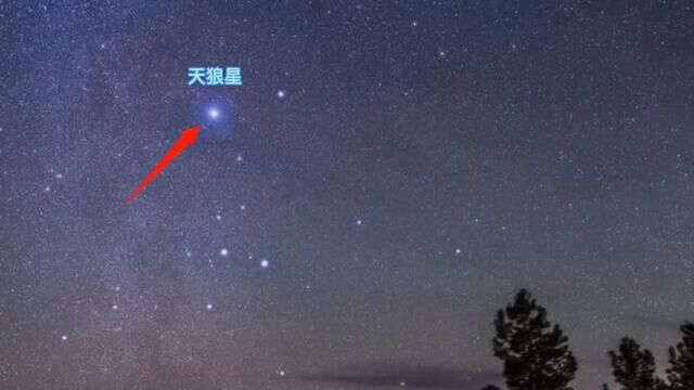 冬季夜空中最亮的星“天狼星”到底是哪颗恒星?距离地球有多远?#探索宇宙 #天文奇观 #天狼星