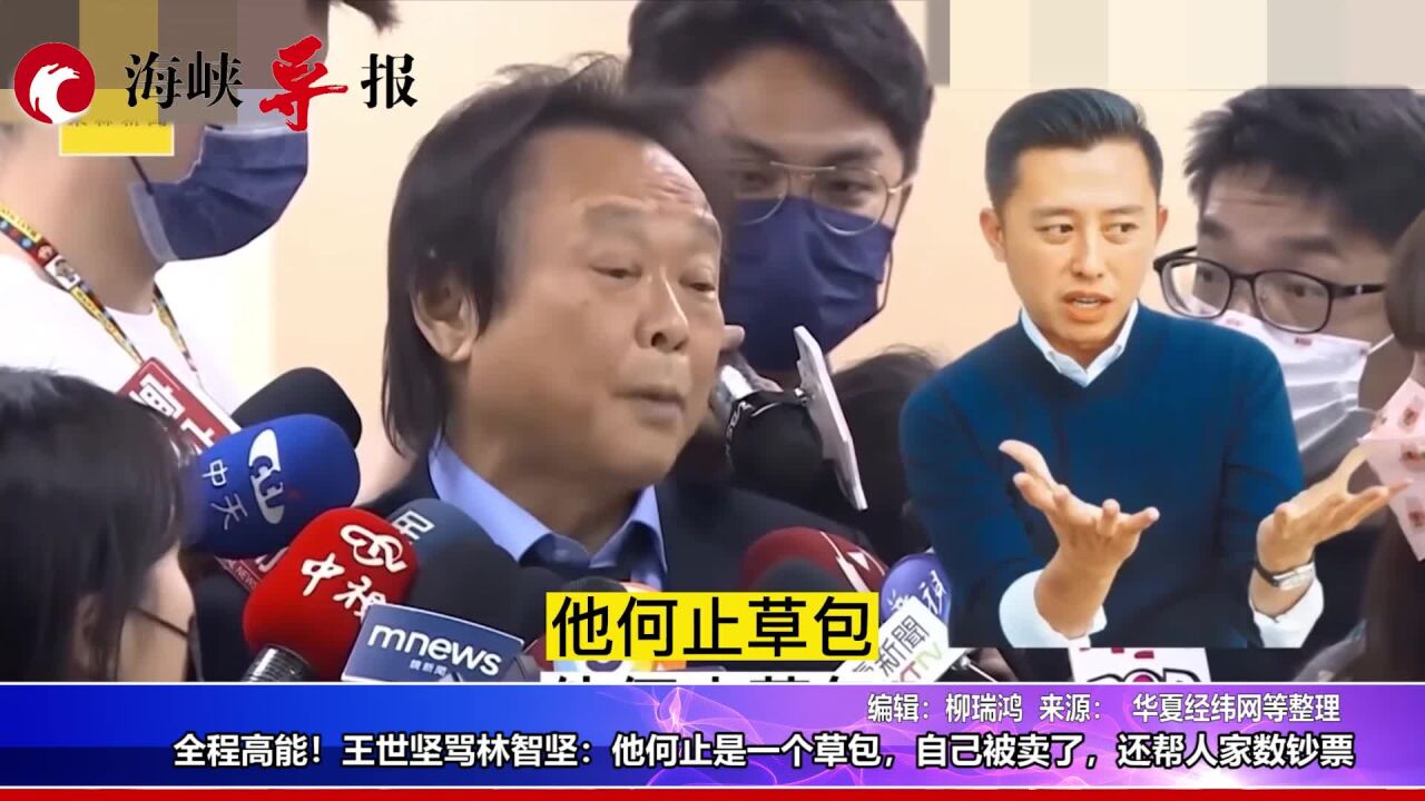 全程高能!王世坚大骂林智坚草包:被卖了还帮人家数钞票