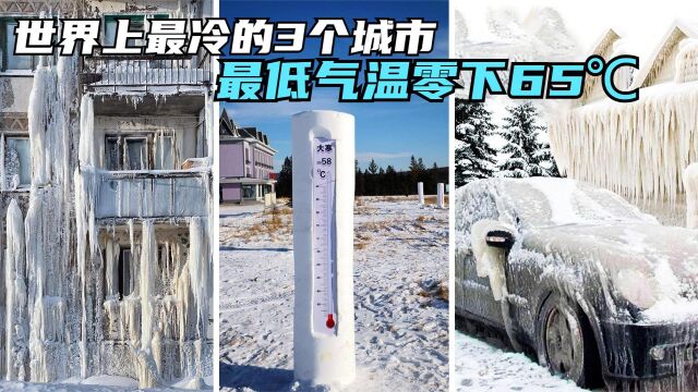 盘点世界上最冷的3个城市,最低气温零下65℃,人们怎么生活的?