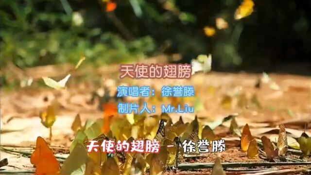 《天使的翅膀》完整版MV