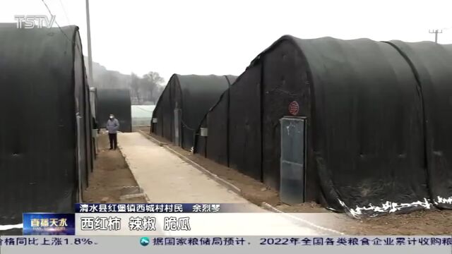 清水县红堡镇:发展设施农业 助力群众增收