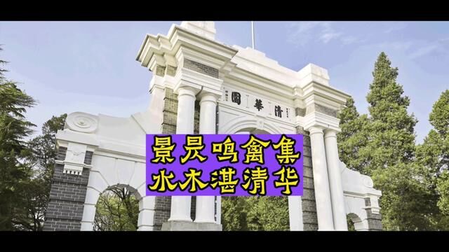 清华大学零字班段子手邱柯 #清华大学 #挖掘机 #大学时光 #校庆