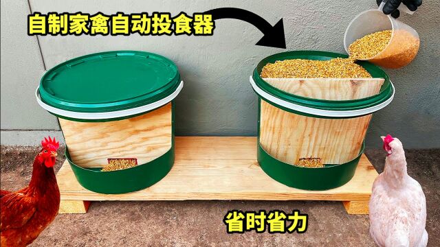 报废的塑料桶还有妙用,简单改造一下就能做成家禽自动投食器