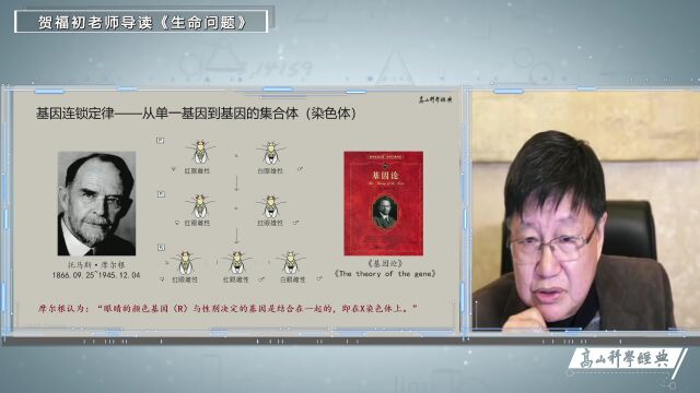 高山科学经典:“上帝视角”下的生命问题