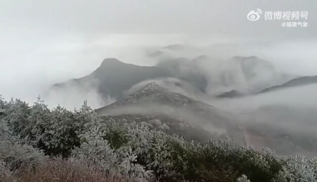 福建下雪了!