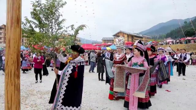 节庆云南丨苗族花山节:热热闹闹踩花山,欢欢喜喜过大年