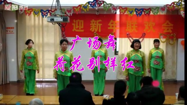 广场舞《荷花别样红》主要演员:何明东、陈玉华、李素兰、马玲、蒯风红