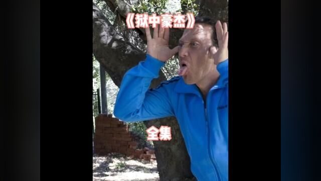 人人都爱看电影