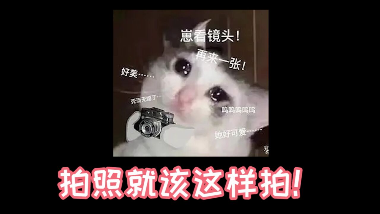 1分钟教你学拍照~