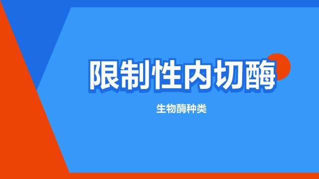 “限制性内切酶”是什么意思?