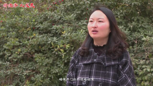 拼经济 比发展①专访青川县发展和改革局党组书记、局长 李倩