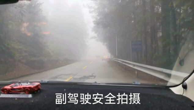 雾天开车注意安全保持距离