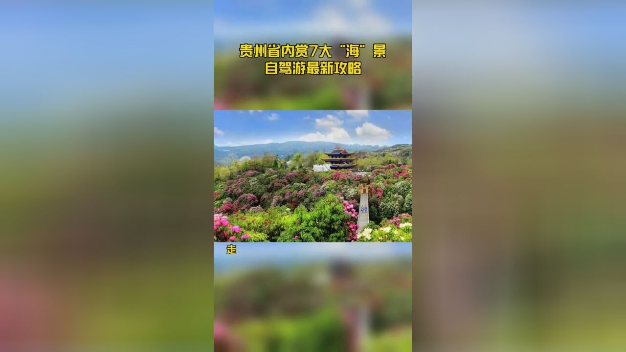 贵州省内赏7大＂海＂景自驾游最新攻略