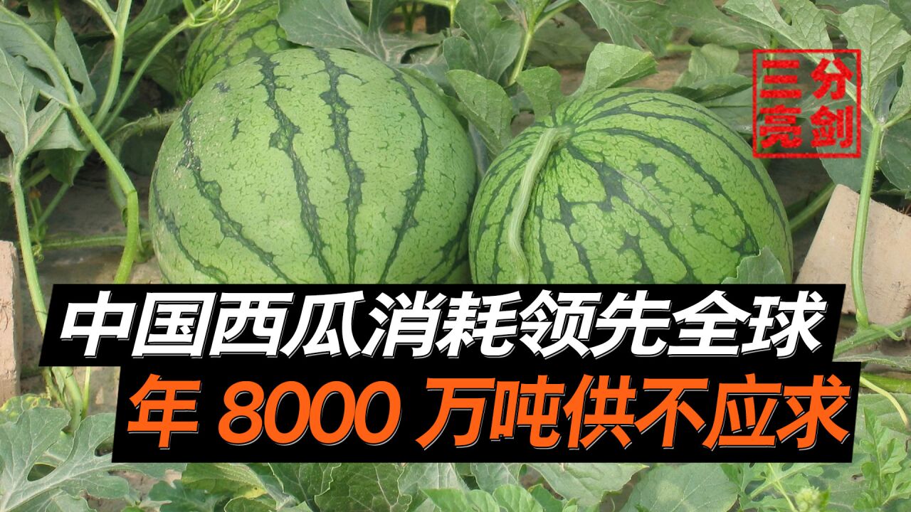 中国西瓜消耗量领先全球,年产8000万吨供不应求,真的是吃瓜群众