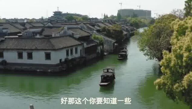 柳树浑身是宝