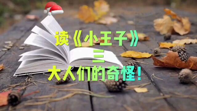 读《小王子》三:大人们的奇怪! #读书 #小王子 #文化